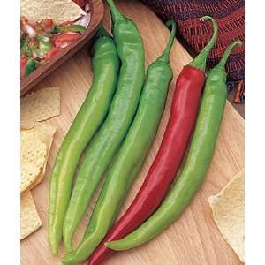  Pepper, Hot Salsa Delight Hybrid 1 Pkt. (30 seeds) Patio 