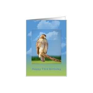  Birthday, 73rd, Rough Legged Hawk Bird Card Toys & Games