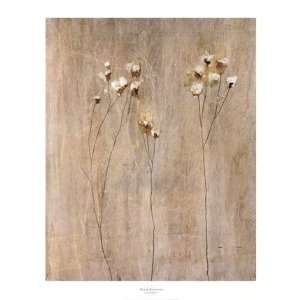 Vanilla Bloom I   Poster by Peter Kuttner (27.5 x 34)  