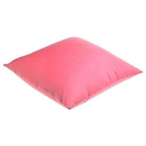   America Cool 16 by 16 Inch Bead Filled Pillow, Pink