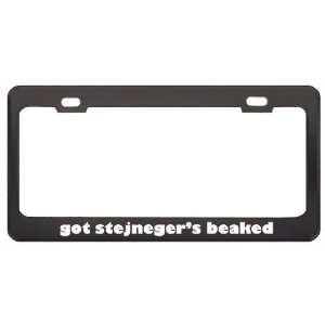 Got StejnegerS Beaked Whale? Animals Pets Black Metal License Plate 