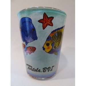  Tortola, BVI Tropical Fish In and Out Shot Glass: Kitchen 