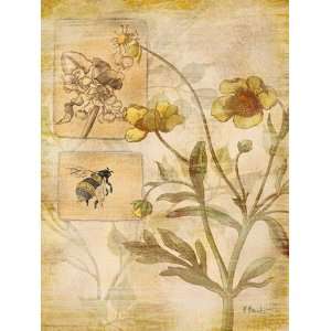  Flora Bumble Bee   Poster by Paul Brent (12x16)