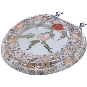  Clear Sea Shell STANDARD Toilet Seat: Home & Kitchen