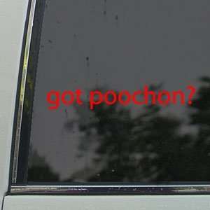  Got Poochon? Red Decal Bichon Frise Poodle Car Red Sticker 