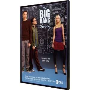  Big Bang Theory 11x17 Framed Poster