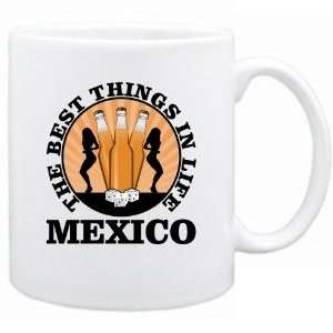 New  Mexico , The Best Things In Life  Mug Country: Home 