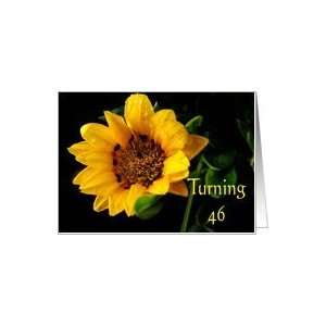  46th Birthday, yellow Gazania Card Toys & Games