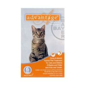  Advantage Cat 1 9Lb ORANGE 10 6