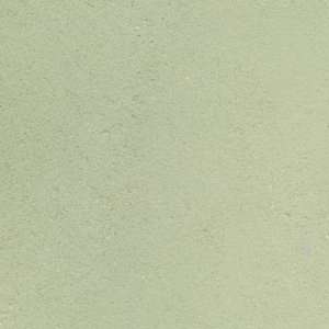  American Clay Plaster Color Pack   Fairfield Green