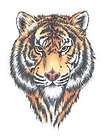 tiger 2 mascot team spirit temporary tattoo pkg 10 $ 9 99 time left 