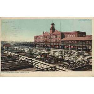  Reprint Kansas City MO   Live Stock Exchange 1906 