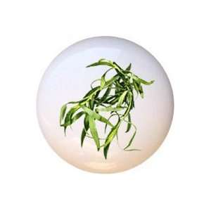  Tarragon Herbs Spices Drawer Pull Knob