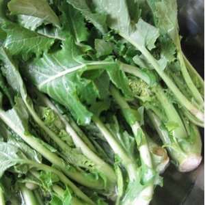   Brassica Rapa Seeds   Certified Organic Non   GMO Patio, Lawn