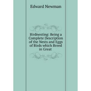   Eggs of Birds which Breed in Great . Edward Newman  Books