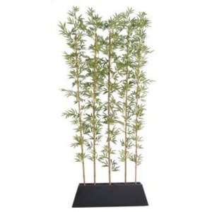   Tall Bamboo Tree Screen in Contemporary Wood Planter: Home & Kitchen