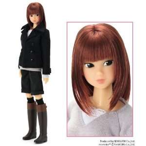  Momoko Slow Smile Japanese Collectors Doll Everything 