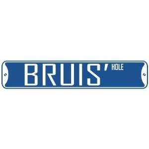   BRUIS HOLE  STREET SIGN: Home Improvement