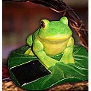  Frog On A Lily Pad Solar Garden Light: Everything Else