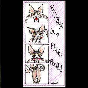 COMICAL SPHYNX CAT GREETINGS CARD BY SUZANNE LE GOOD  