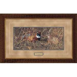  Scot Storm   Harvest Duo   Pheasants Framed: Home 