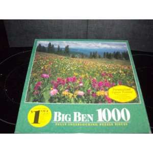  La Plata Mountains Colorado 1000 Piece Big Ben Puzzle 