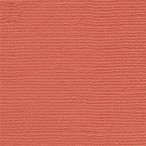    Bazzill Cardstock 12X12 Sun Coral/Grass Cloth: Everything Else