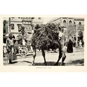 Print Spinach Camel Market Agriculture Street Scene Cityscape Cairo 
