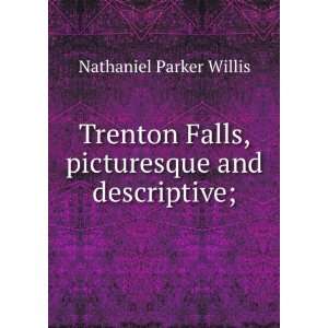   Falls, picturesque and descriptive; Nathaniel Parker Willis Books