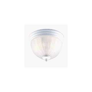  Westinghouse #67308 2 Light White Ceiling Fixture: Home 