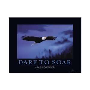  Successories Dare to Soar Partition Edition Motivational 