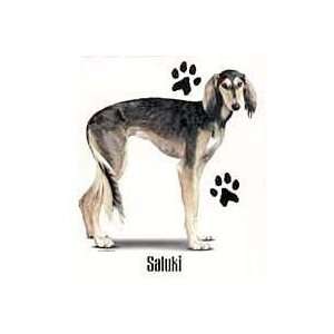  Saluki T Shirts: Pet Supplies