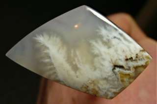 Stinking Water Plume Cabochon 25.5cts.  