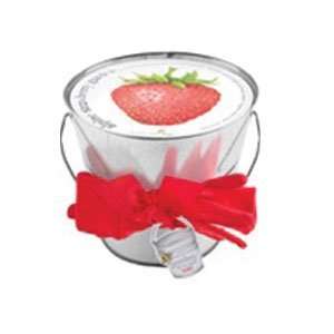  Alpine Strawberry Garden in a Pail for Kids #PSK P STRAW 