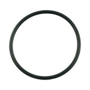   Replacement Parts, O ring, Strainer Pot Flange: Patio, Lawn & Garden