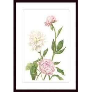   Peony I   Artist: Pamela Shirley  Poster Size: 30 X 20: Home & Kitchen