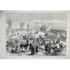  1874 View Caravanserai Kashgar Camels Horses People: Home 