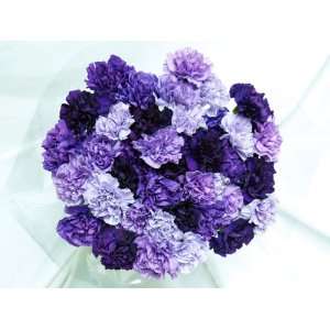 140 Fresh cut Mixed Purple Carnations (advance ordering recommended 