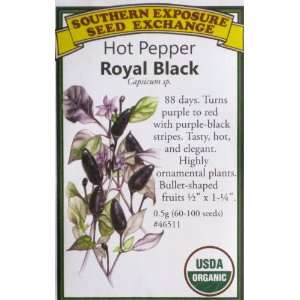  Hot Pepper Royal Black Certified Organic Seeds Patio 