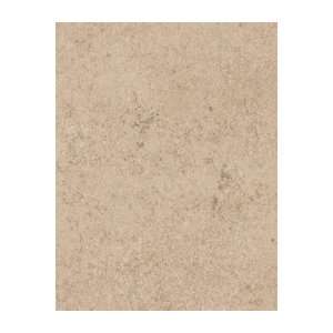  Bevel Edge Laminate Backsplash   Tan Soapstone Kitchen 