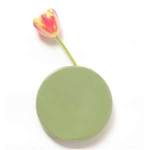  Chive Wall Dot Moss Vase