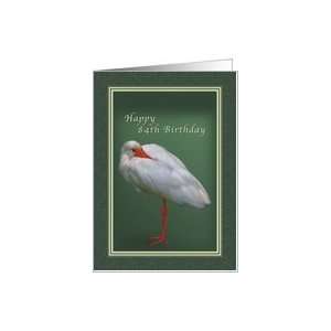  Birthday 84th, White Ibis Bird Card: Toys & Games