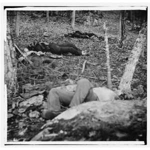  Gettysburg,Pa. Four dead soldiers in the woods near Little 