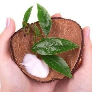  Coconut Cream home fragrance oil 15ml 