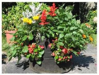 New Smart Pots for Container Gardening Cloth 10 Gallon  