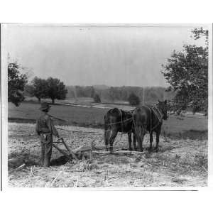  The Sluggish Clod,man w/ plow behind horses,c1903: Home 