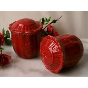  Classy Red Porcelain Salt & Pepper Shakers