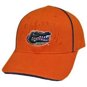  NCAA Florida Gators Orange Blue College Sports Constructed Baseball 