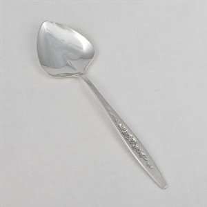   Laurel Mist by Deep Silver, Silverplate Sugar Spoon
