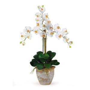  Cream Triple Stem Phalaenopsis Silk Orchid Arrangement 